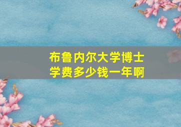 布鲁内尔大学博士学费多少钱一年啊