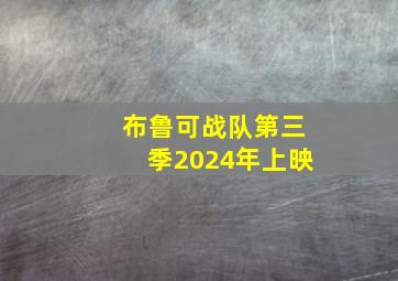 布鲁可战队第三季2024年上映