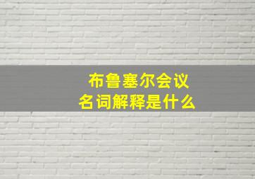 布鲁塞尔会议名词解释是什么