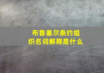 布鲁塞尔条约组织名词解释是什么