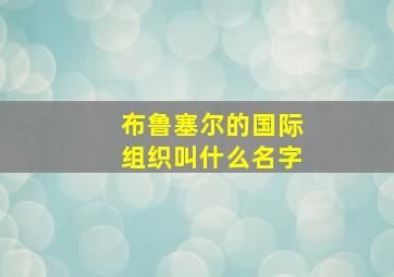 布鲁塞尔的国际组织叫什么名字