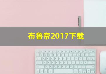 布鲁帝2017下载