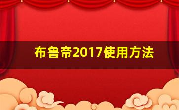 布鲁帝2017使用方法