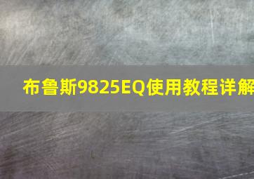 布鲁斯9825EQ使用教程详解