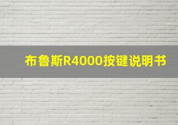 布鲁斯R4000按键说明书