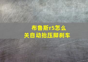 布鲁斯r5怎么关自动抬压脚刹车