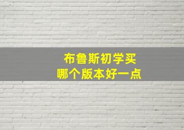 布鲁斯初学买哪个版本好一点