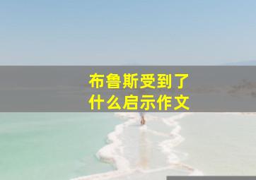 布鲁斯受到了什么启示作文