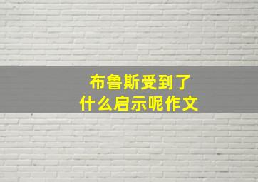 布鲁斯受到了什么启示呢作文