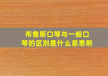 布鲁斯口琴与一般口琴的区别是什么意思啊