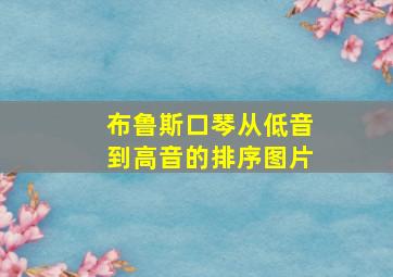 布鲁斯口琴从低音到高音的排序图片