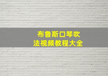 布鲁斯口琴吹法视频教程大全