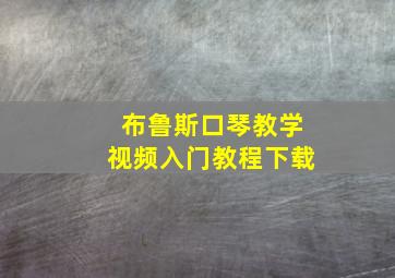 布鲁斯口琴教学视频入门教程下载