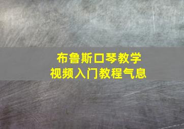 布鲁斯口琴教学视频入门教程气息