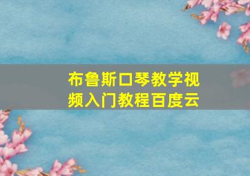 布鲁斯口琴教学视频入门教程百度云