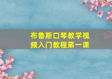 布鲁斯口琴教学视频入门教程笫一课