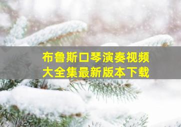 布鲁斯口琴演奏视频大全集最新版本下载