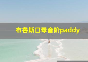 布鲁斯口琴音阶paddy