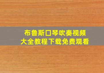 布鲁斯囗琴吹奏视频大全教程下载免费观看