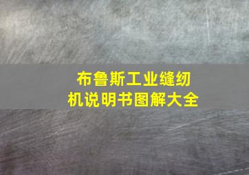 布鲁斯工业缝纫机说明书图解大全