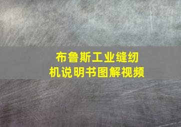 布鲁斯工业缝纫机说明书图解视频