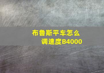 布鲁斯平车怎么调速度B4000