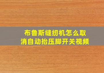 布鲁斯缝纫机怎么取消自动抬压脚开关视频