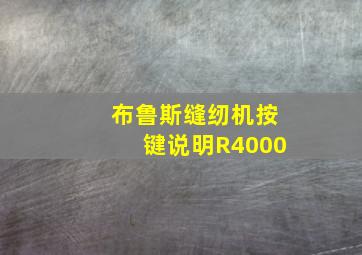 布鲁斯缝纫机按键说明R4000