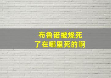 布鲁诺被烧死了在哪里死的啊