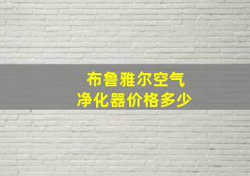 布鲁雅尔空气净化器价格多少