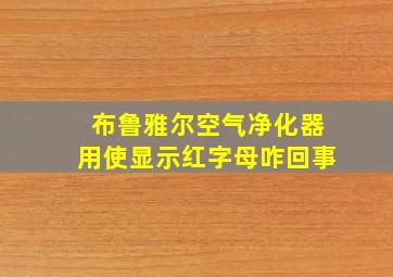 布鲁雅尔空气净化器用使显示红字母咋回事