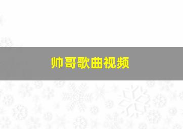 帅哥歌曲视频