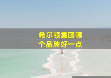 希尔顿集团哪个品牌好一点