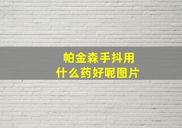 帕金森手抖用什么药好呢图片