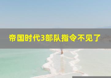 帝国时代3部队指令不见了