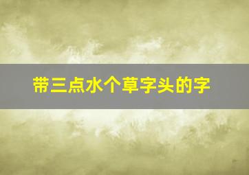 带三点水个草字头的字