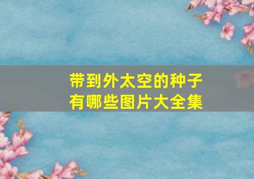 带到外太空的种子有哪些图片大全集