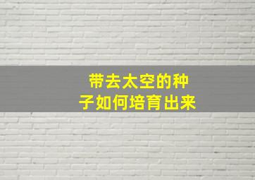 带去太空的种子如何培育出来