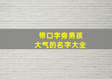 带口字旁男孩大气的名字大全