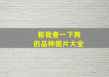 帮我查一下狗的品种图片大全