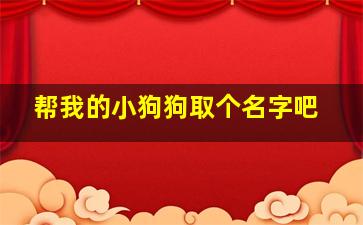 帮我的小狗狗取个名字吧