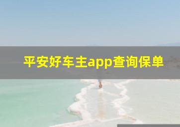 平安好车主app查询保单