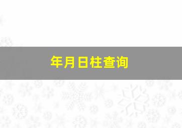 年月日柱查询