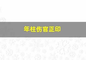 年柱伤官正印