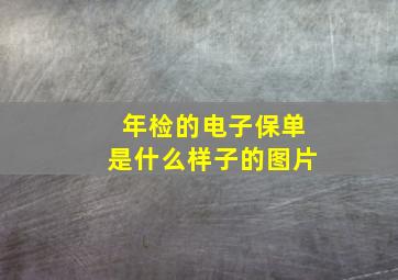 年检的电子保单是什么样子的图片