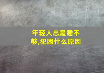 年轻人总是睡不够,犯困什么原因