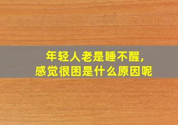 年轻人老是睡不醒,感觉很困是什么原因呢