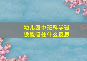 幼儿园中班科学磁铁能吸住什么反思