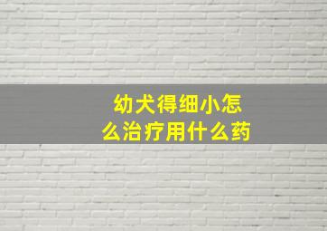 幼犬得细小怎么治疗用什么药