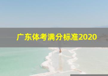 广东体考满分标准2020